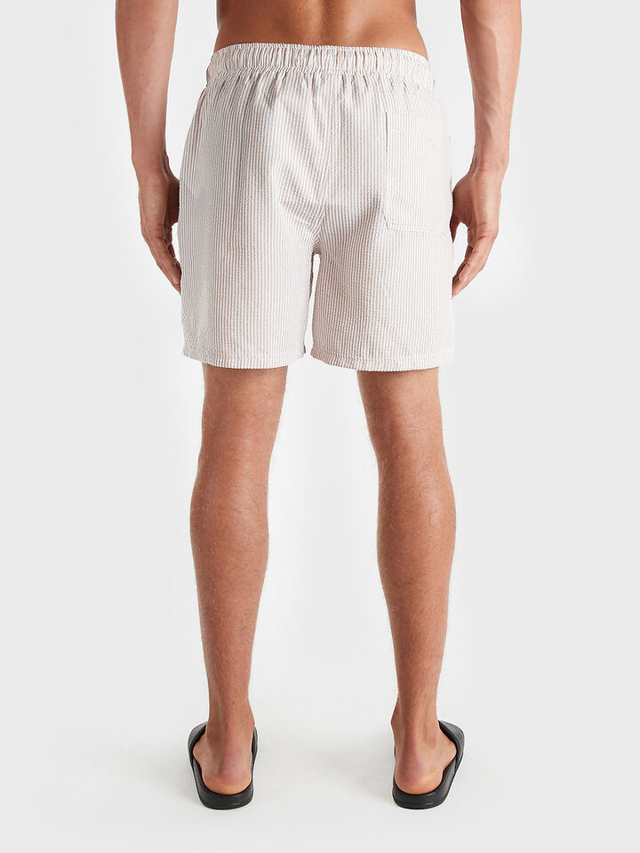 Seersucker Stripe 6" Swim Short