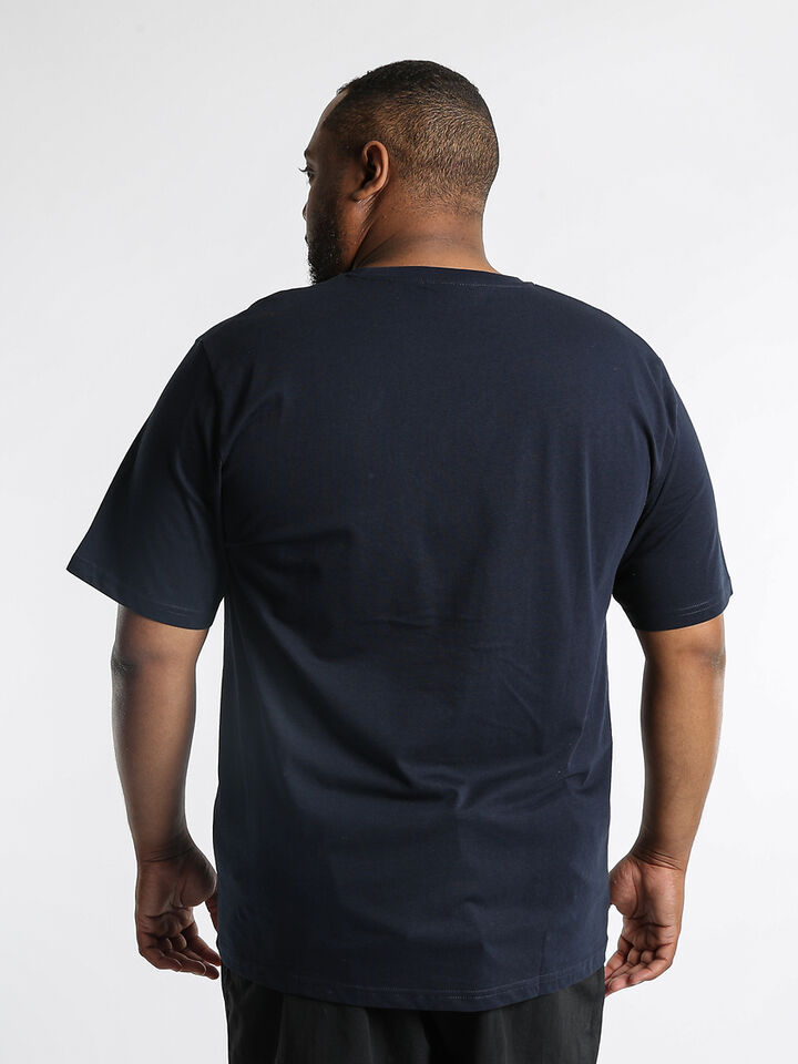 Big & Tall Areto Tee